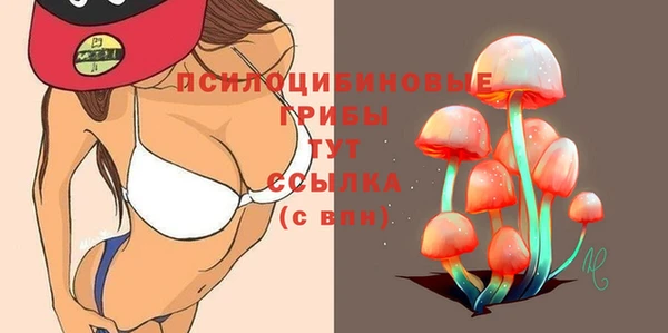 apvp Вязьма