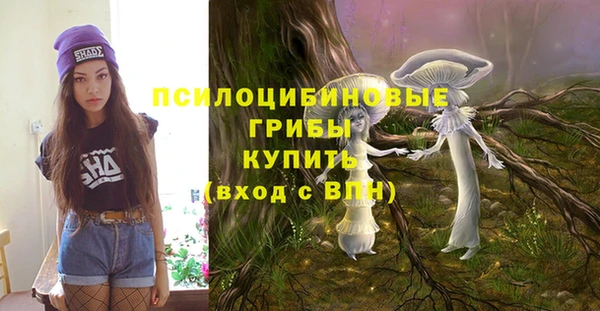apvp Вязьма